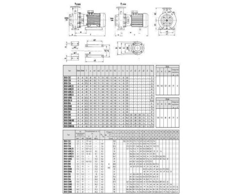 Насос моноблочний IR 40-125A 3,0 кВт SAER (40 м3/год, 27,5 м)